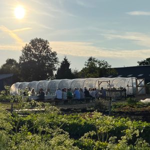 Midzomer - 21 juni